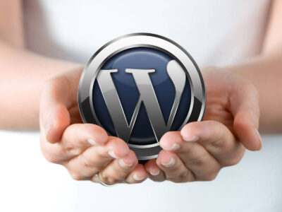 WordPress Web Design FITS Into the Scheme of Things