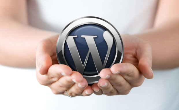 WordPress Web Design FITS Into the Scheme of Things