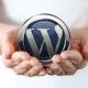 WordPress Web Design FITS Into the Scheme of Things