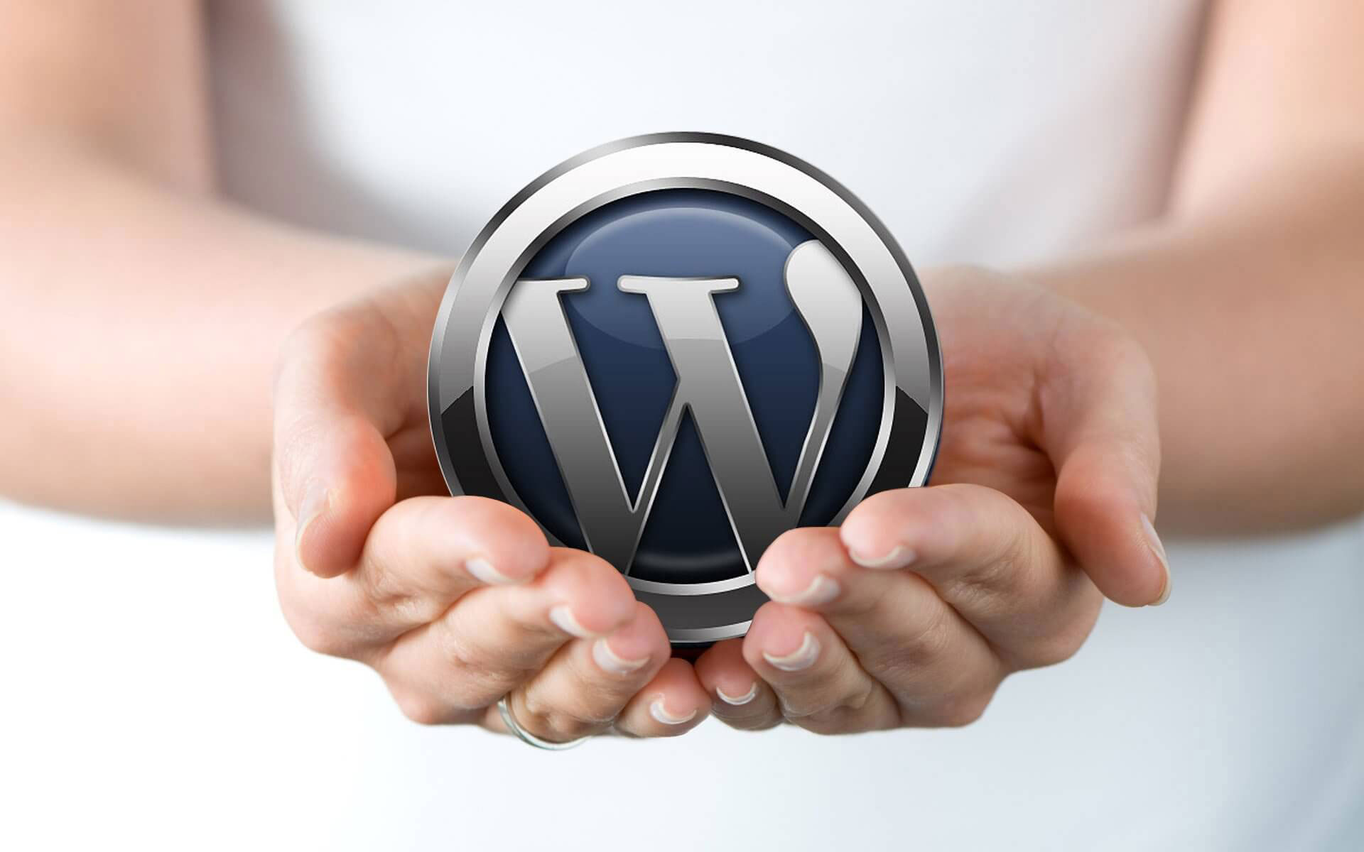 WordPress Web Design FITS Into the Scheme of Things